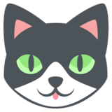 :emojione_cat: