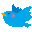 :bluebird7: